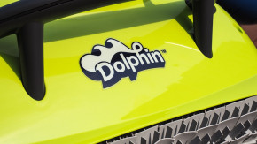 Poolroboter Dolphin Spring